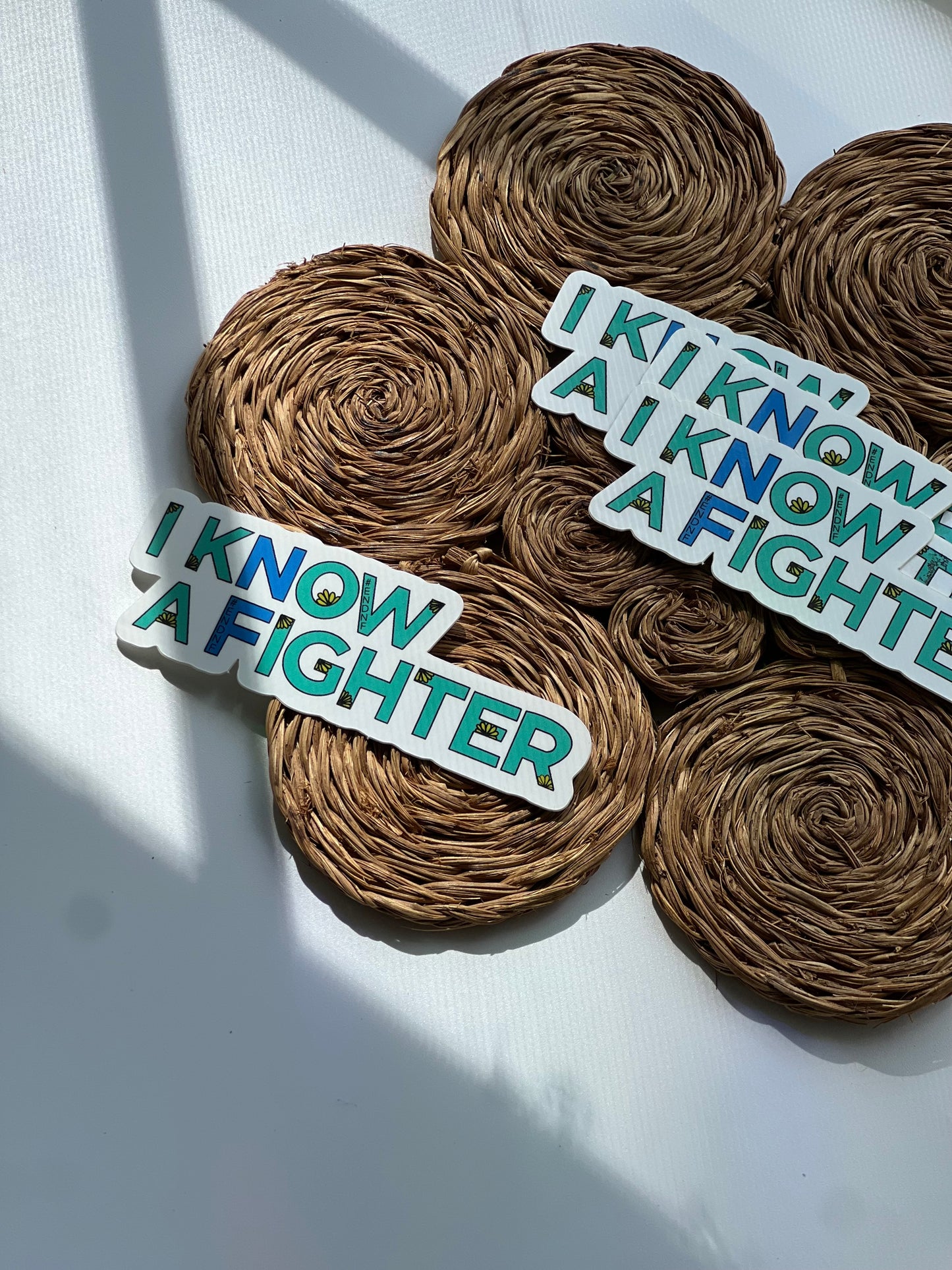 I KNOW A FIGHTER #EndNF Vinyl Sticker