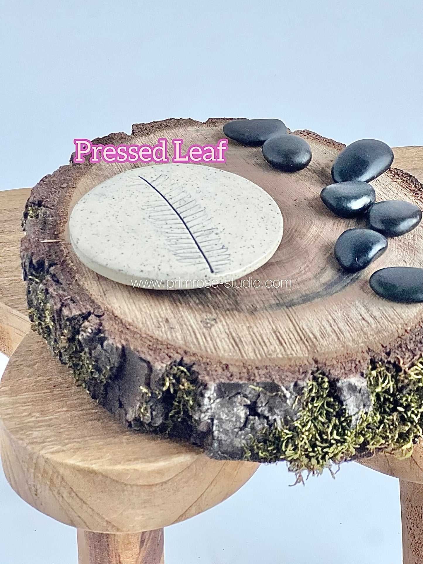 Ceramic Magnets (Variety of Designs)