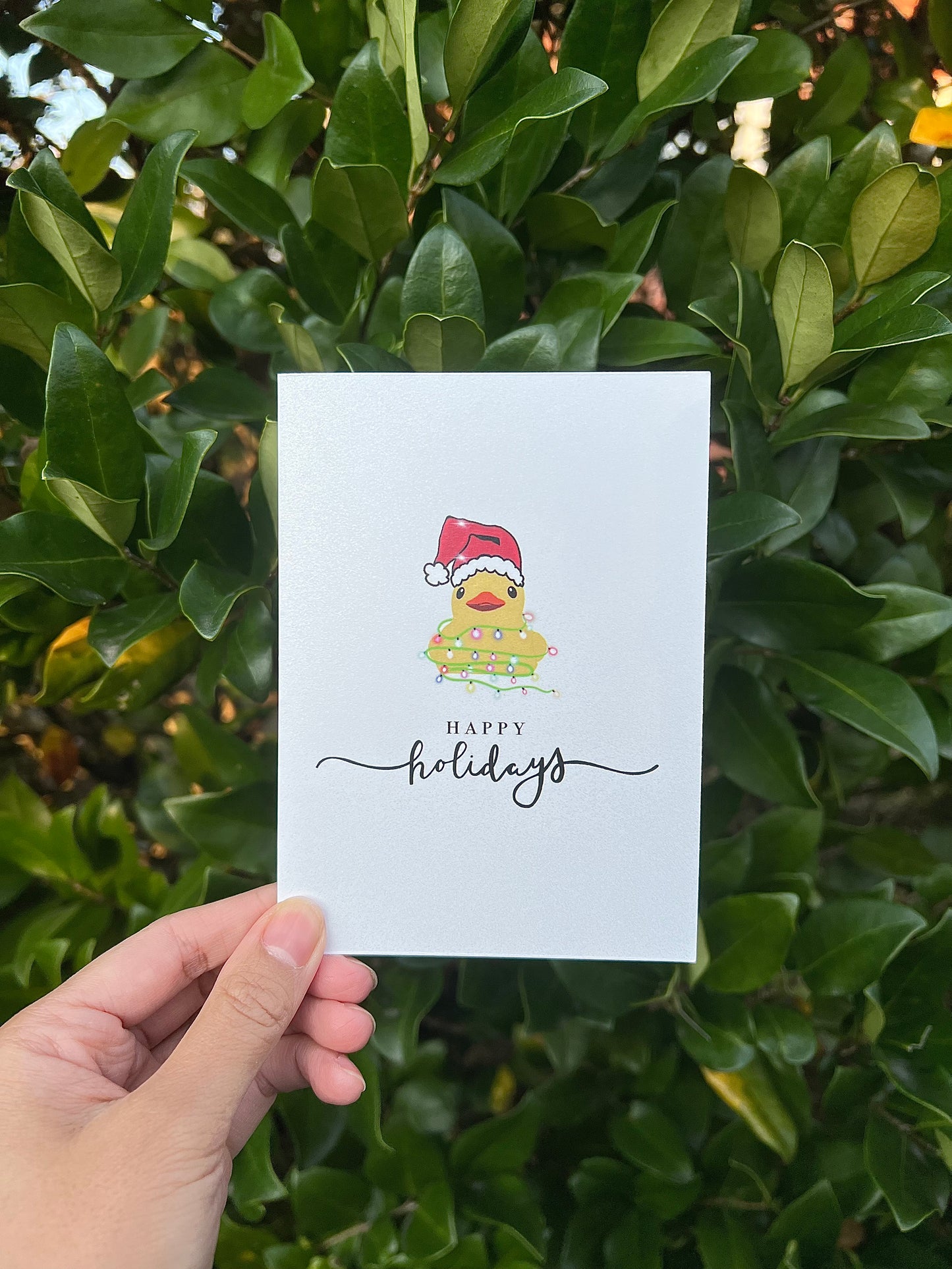 Holiday Duck Greeting Card
